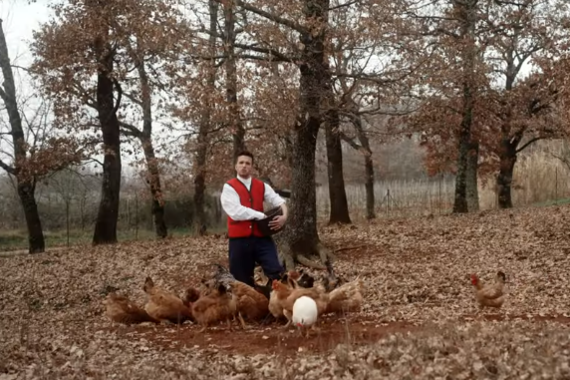 Spot obilazi Europu, Baby Lasagna uzdrmao kladionice