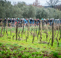 FOTO: Mario Stiehl / Istrian Spring Trophy