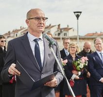 Vili Bassanese