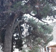 Prije uređenja