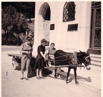 Pula - Fina - 1956. g