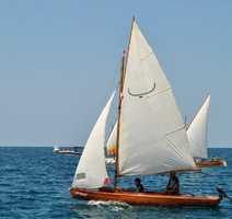Nizozemska jola