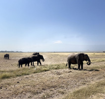 Amboseli National Park