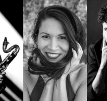 Ana Pilat trio