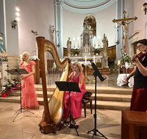 Trio Agrimona