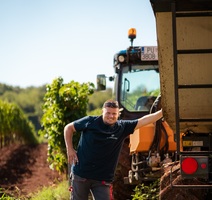 Foto: Facebook/Damjanić Wines)