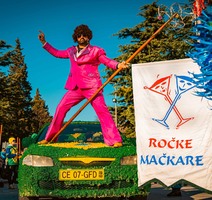 Ročke mačkare (Foto: TZ Grada Buzeta/Studio 11)