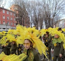 Foto: M. Vermezović Ivanović