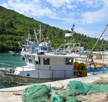 Buduća "Mramorka"