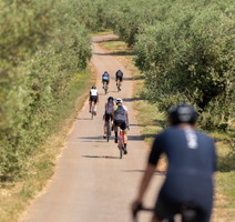 Foto: Manuel Paljuh 