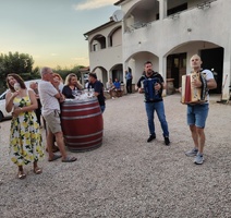 Harmonikaši Vedran i Danijel