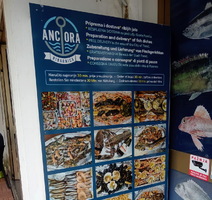 Ancora