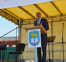 Vili Bassanese
