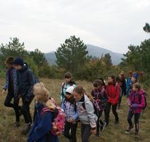 Račja Vas