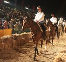 Defile konjanika