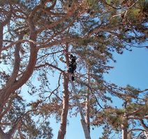 Foto: Javna vatrogasna postrojba Rovinj