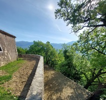 Crkva Sv. Vida u Pazu