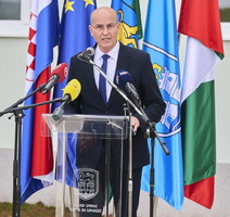 Vili Bassanese