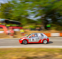 Bojan Krota (Foto: Buzetski dani)