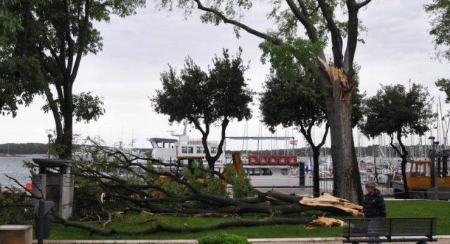Srušena stabla u Puli (Foto: Večernji list) 