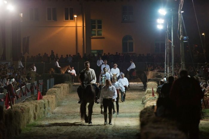 Defile konjanika (Foto: Marino Matošević, Fotoklub Poreč)