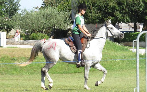 Mentororica juniorima Sarah Uljanić