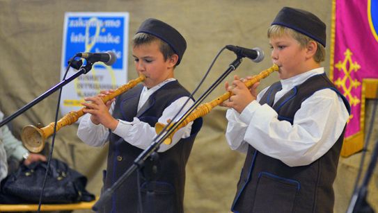 Medulinsko Društvo kulturno-umjetničkog stvaralaštva Mendula