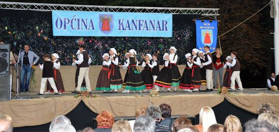 KUD Dvigrad podmladak