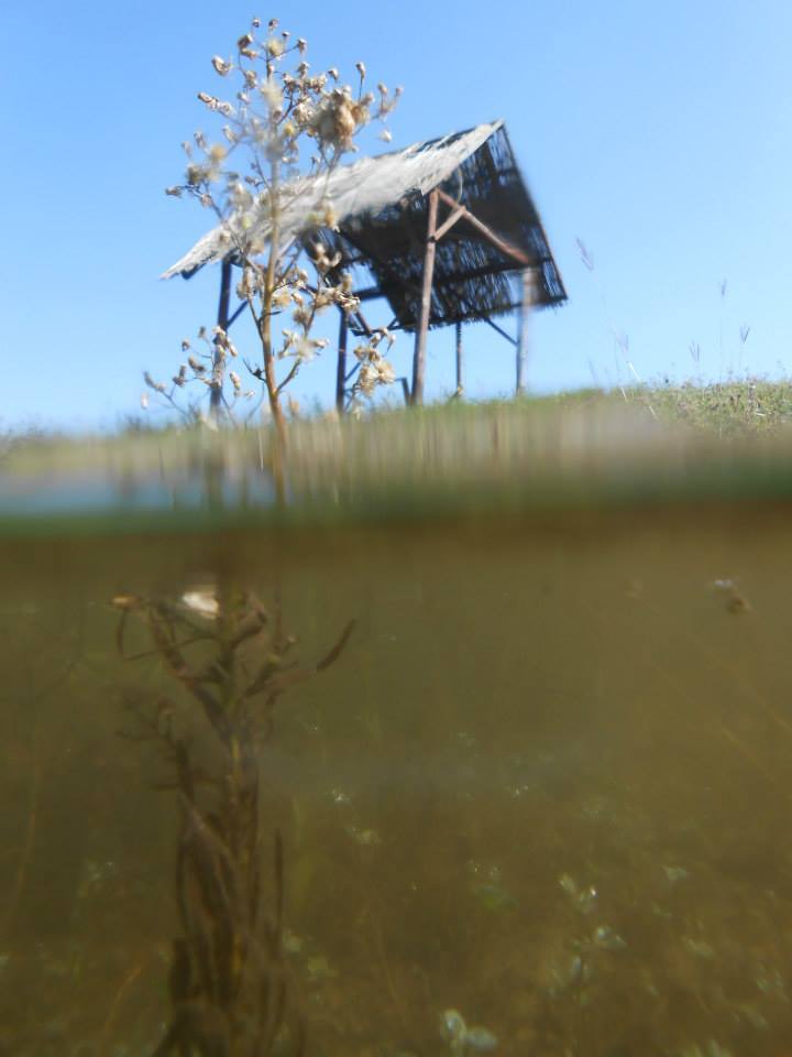 Nagrađena fotografija