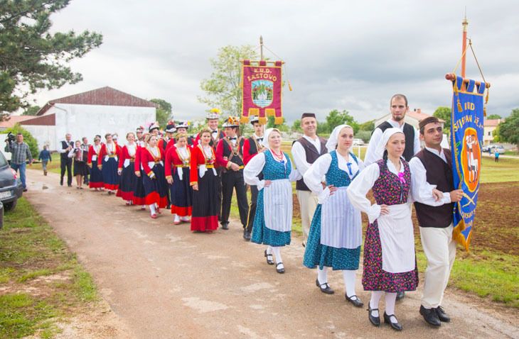 Svečani mimohod